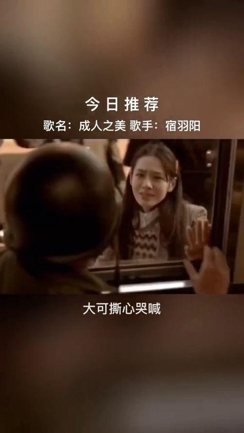 成人之美骗术视频,揭秘新型诈骗手段背后的真相