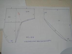 成人内裤男士裁剪视频,轻松掌握成人内裤制作技巧