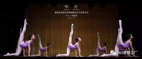 董岗跳舞成人舞蹈视频,成人舞蹈视频精彩回顾